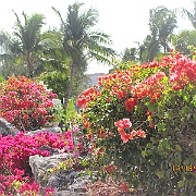 Picture 199